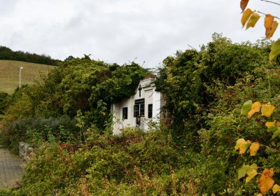 Rtyně nad Bílinou, Omnium, 2020