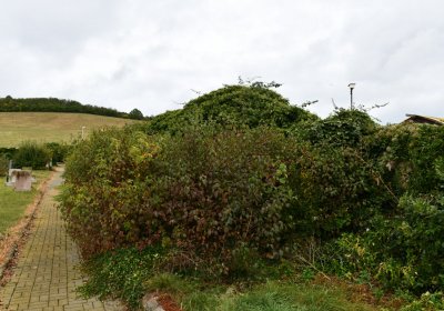 Rtyně nad Bílinou, Omnium, 2020