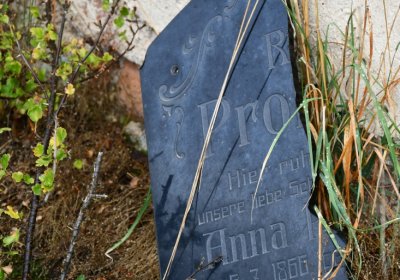 Rtyně nad Bílinou, Omnium, 2020