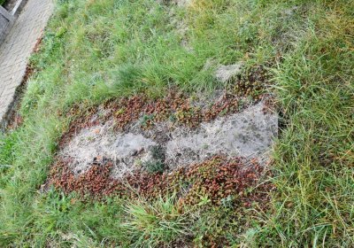 Rtyně nad Bílinou, Omnium, 2020