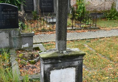 Rtyně nad Bílinou, Omnium, 2020