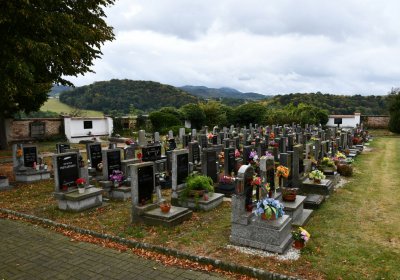 Rtyně nad Bílinou, Omnium, 2020