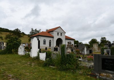 Rtyně nad Bílinou, Omnium, 2020