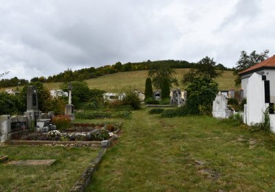 Rtyně nad Bílinou, Omnium, 2020