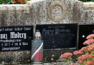 Rtyně nad Bílinou, Omnium, 2020