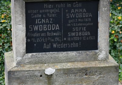 Rtyně nad Bílinou, Omnium, 2020