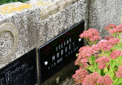 Rtyně nad Bílinou, Omnium, 2020