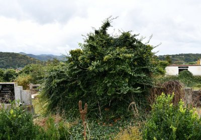 Rtyně nad Bílinou, Omnium, 2020