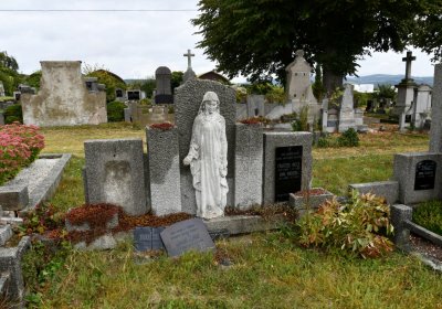 Rtyně nad Bílinou, Omnium, 2020