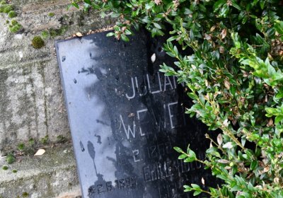 Rtyně nad Bílinou, Omnium, 2020