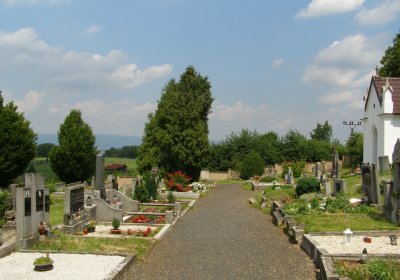 Kmínek Michal, 2020