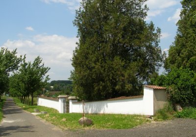 Kmínek Michal, 2020