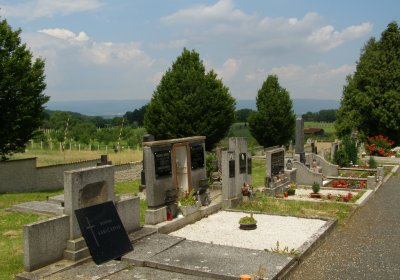 Kmínek Michal, 2020