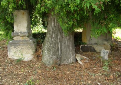 Kmínek Michal, 2020