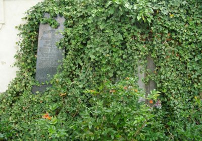 Kmínek Michal, 2020