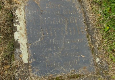 Kmínek Michal, 2020