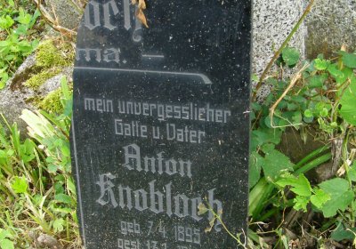 Kmínek Michal, 2020