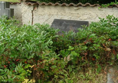 Kmínek Michal, 2020