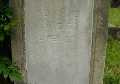 Kmínek Michal, 2020