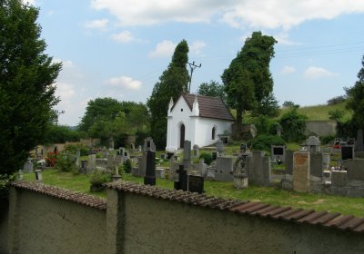 Kmínek Michal, 2020