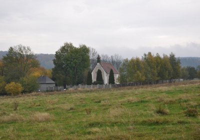 Brandov udržovaná část, Omnium, 2020