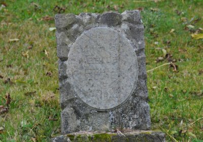 Brandov udržovaná část, Omnium, 2020