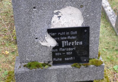 Brandov udržovaná část, Omnium, 2020