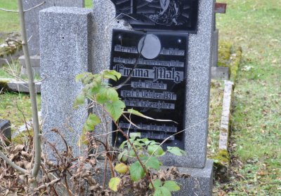 Brandov udržovaná část, Omnium, 2020