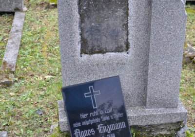 Brandov udržovaná část, Omnium, 2020