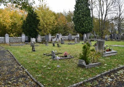 Brandov udržovaná část, Omnium, 2020