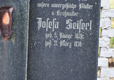 Brandov udržovaná část, Omnium, 2020