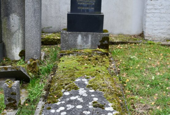 Brandov udržovaná část, Omnium, 2020