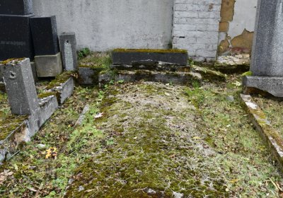 Brandov udržovaná část, Omnium, 2020