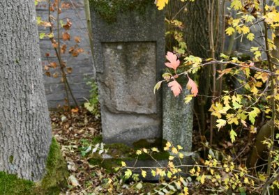 Brandov udržovaná část, Omnium, 2020