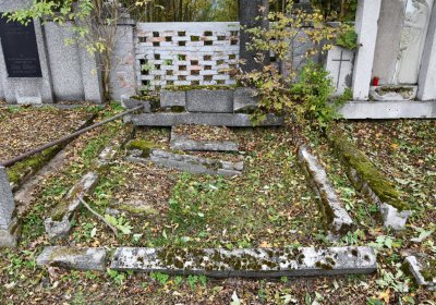 Brandov udržovaná část, Omnium, 2020