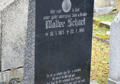 Brandov udržovaná část, Omnium, 2020