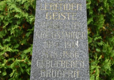 Brandov udržovaná část, Omnium, 2020