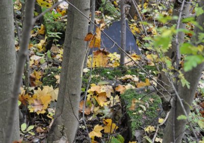 Brandov neudržovaná část, Omnium, 2020