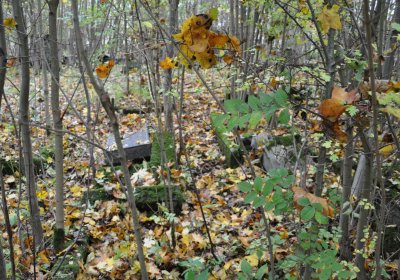 Brandov neudržovaná část, Omnium, 2020