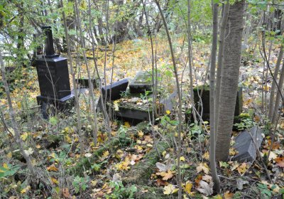 Brandov neudržovaná část, Omnium, 2020