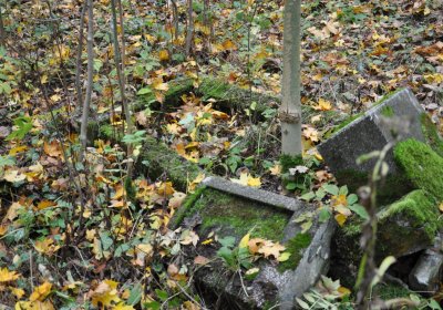 Brandov neudržovaná část, Omnium, 2020