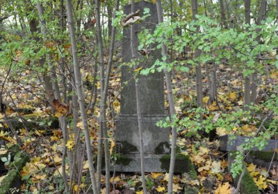 Brandov neudržovaná část, Omnium, 2020