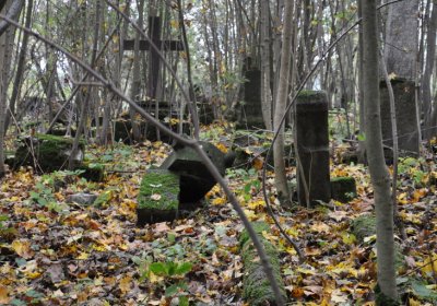 Brandov neudržovaná část, Omnium, 2020