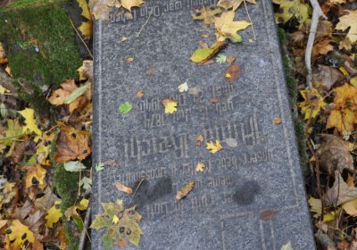 Brandov neudržovaná část, Omnium, 2020