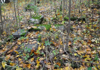 Brandov neudržovaná část, Omnium, 2020