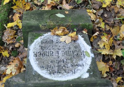 Brandov neudržovaná část, Omnium, 2020