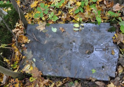 Brandov neudržovaná část, Omnium, 2020