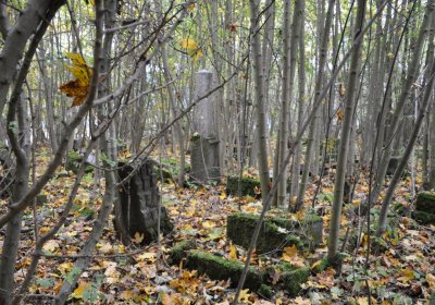 Brandov neudržovaná část, Omnium, 2020