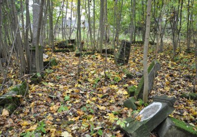 Brandov neudržovaná část, Omnium, 2020