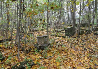 Brandov neudržovaná část, Omnium, 2020